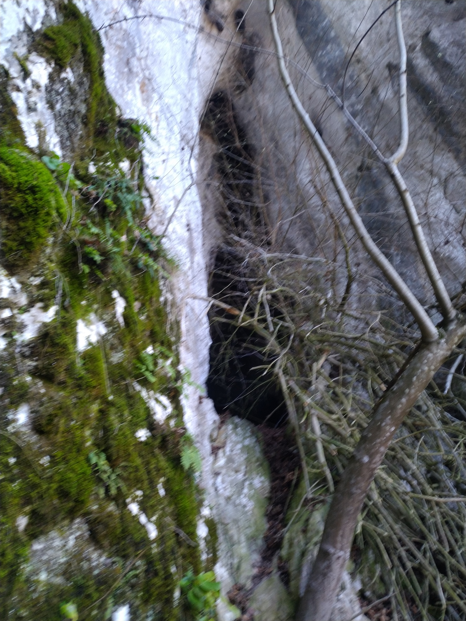 Peștera Surprizei - Image 4